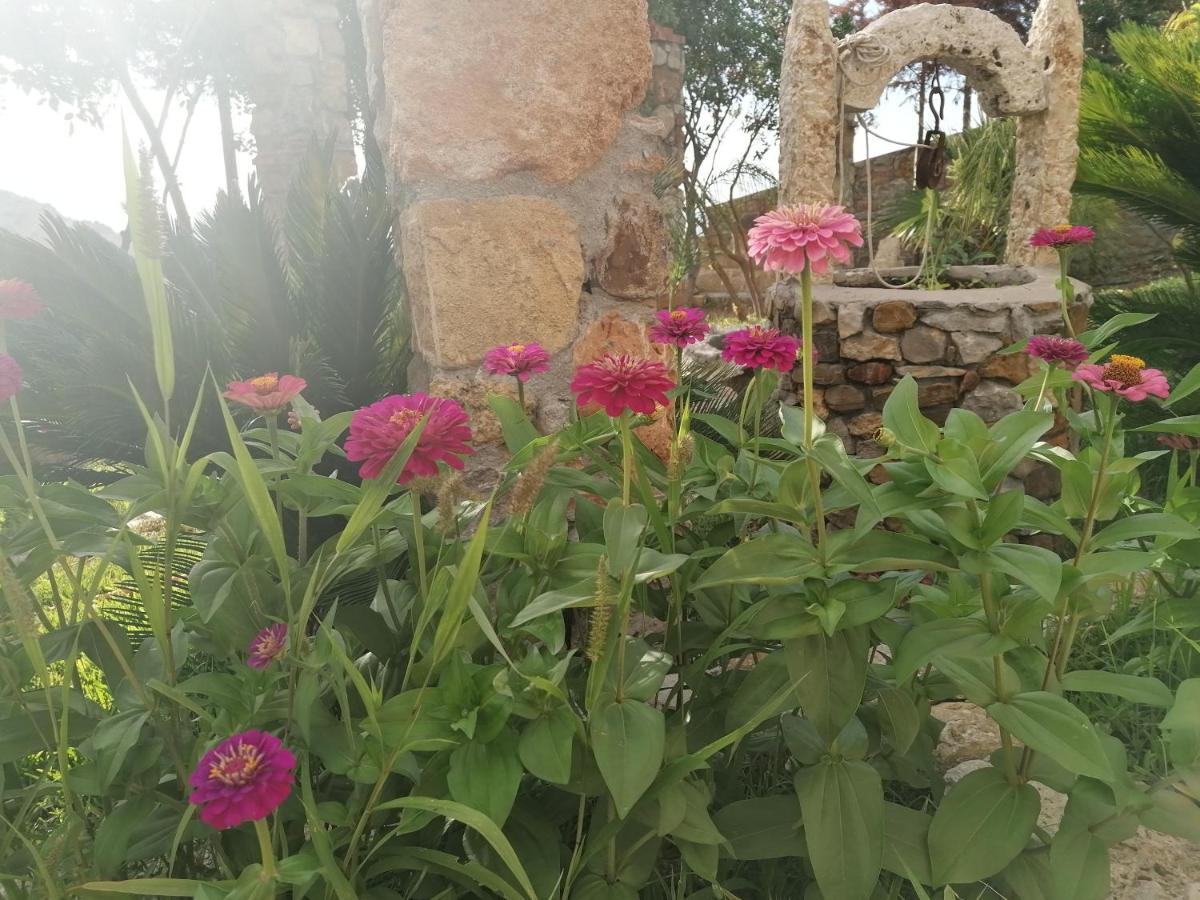 Villa Nonna Nina Capaci Exterior foto